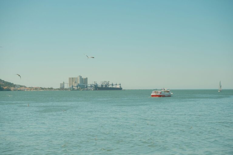 Cargo handling to increase in Lisbon port
