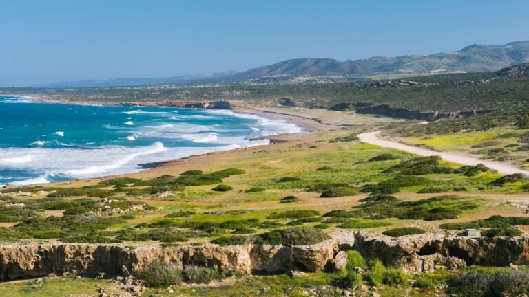 Environmental groups urge President to act on nature violations and Akamas delays