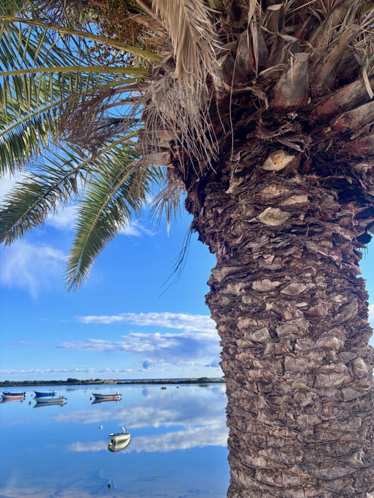Find the Michelin restaurants in the Algarve