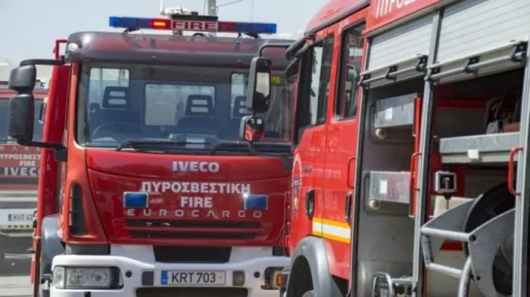 Fire Service tackles fires across Cyprus in one day