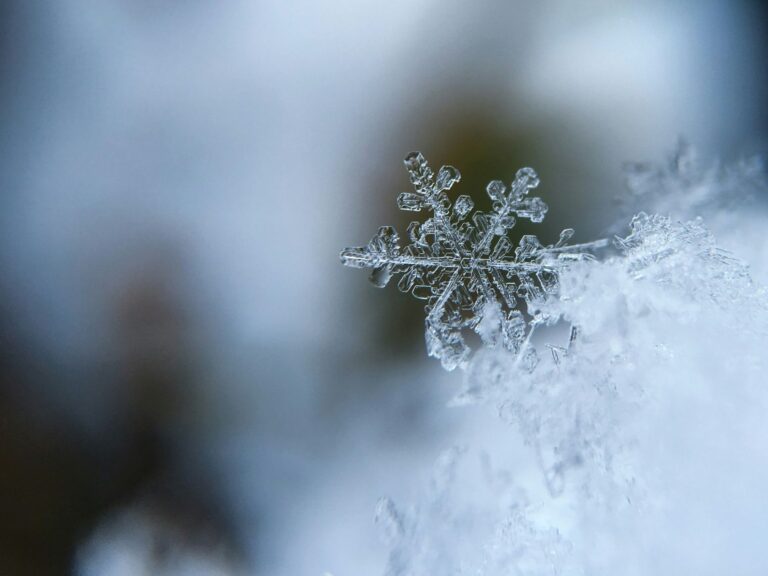 Snow fell again in Portugal